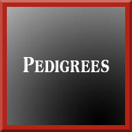 Pedigrees