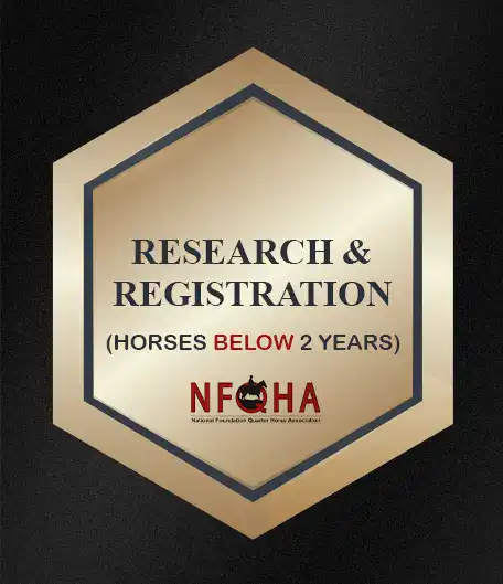 NFQHA Research & Registration (Horses Under 2 Years)
